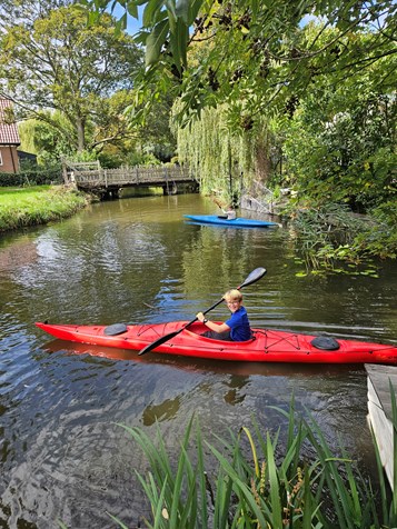 1000064797 1000064797