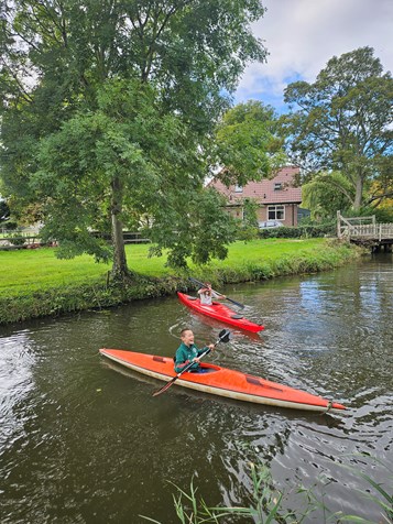 1000064817 1000064817