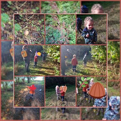 1000047262 1000047262