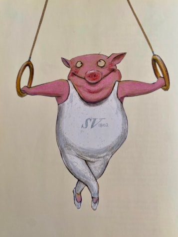 This Varkentje